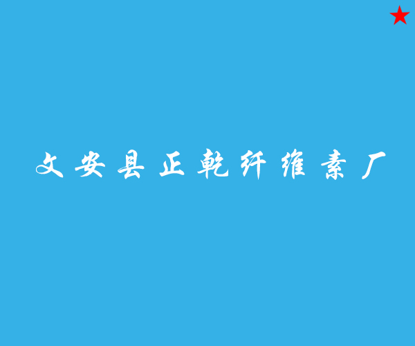 文安縣正乾纖維素廠